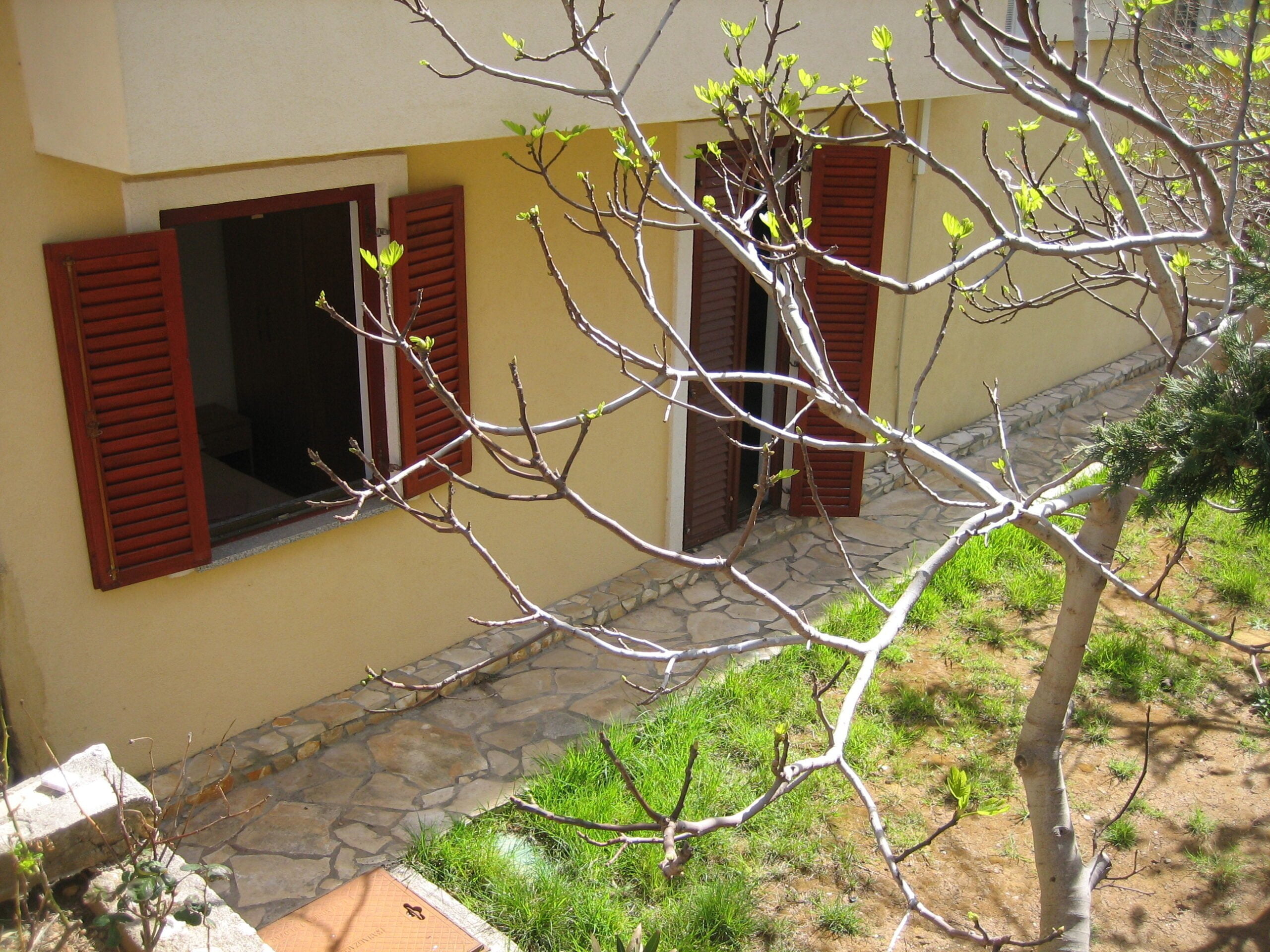 Maru | One-bedroom Apartment with Patio - Image 5
