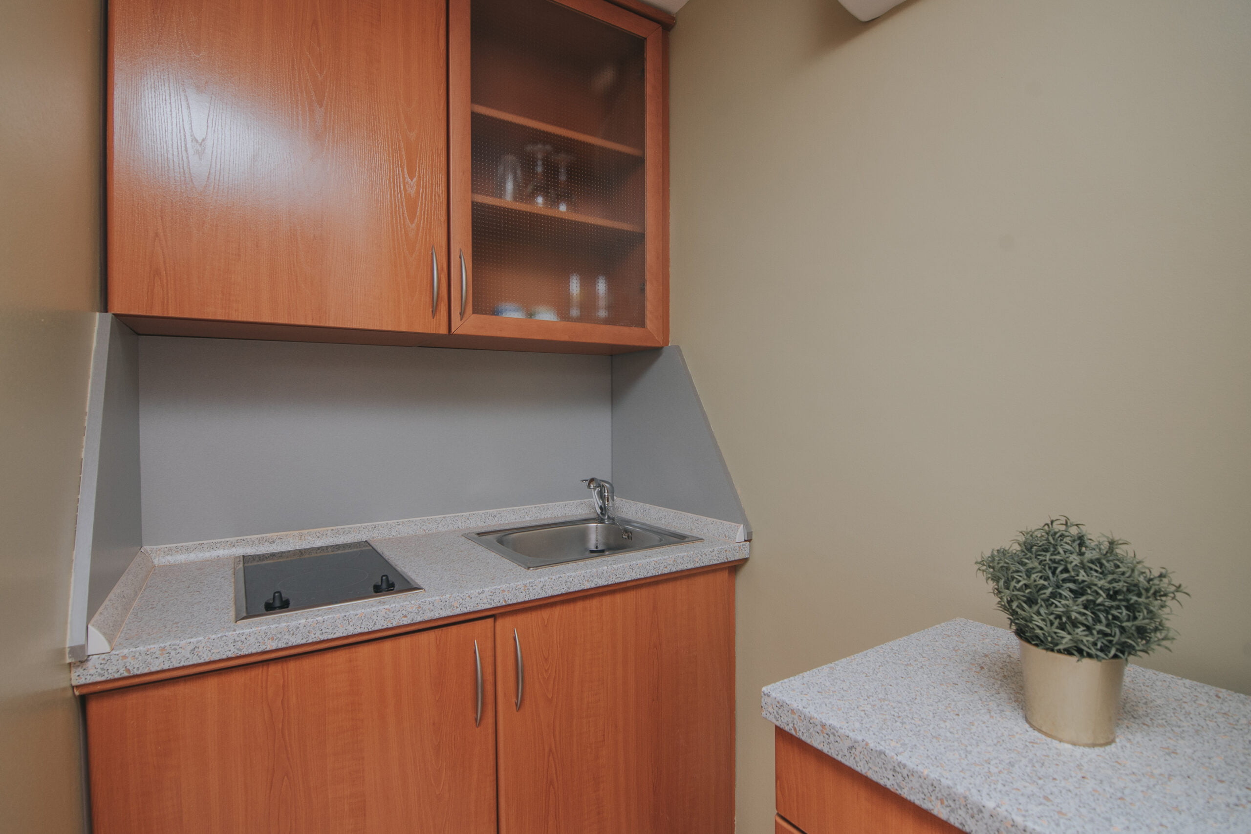Tolo | Studio - Image 8